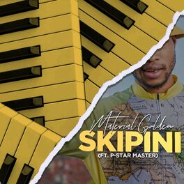 Album cover of Skipini