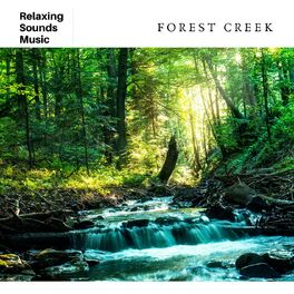 Album cover of Relaxing Music with Nature Sounds: Forest Creek
