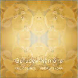 Album cover of Gurudev Namaha