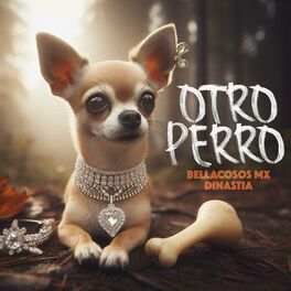 Album cover of Otro Perro (feat. La Dinastia)