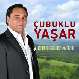 Album cover of Erik Dalı
