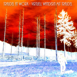 Album cover of Virtuell wandern mit Traudel