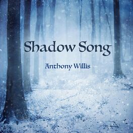 Album cover of Shadow Song