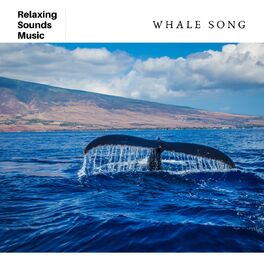 Album cover of Whale Song for Sleep