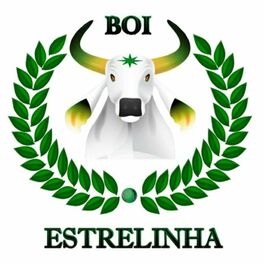 Album cover of Estrelinha 2019 - Parintins Cabocla da Fé, do Folclore e da Alma Indígena (Ao Vivo)