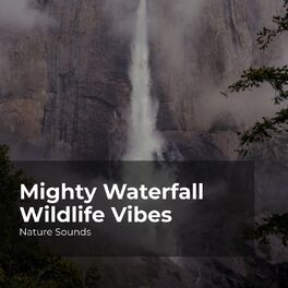 Album cover of Mighty Waterfall Wildlife Vibes