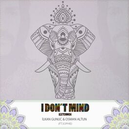 Album cover of I Don't Mind (Extended)