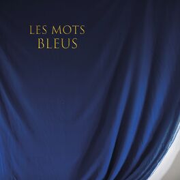 Album cover of Les mots bleus
