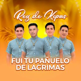 Album cover of Fui Tu Pañuelo de Lagrimas