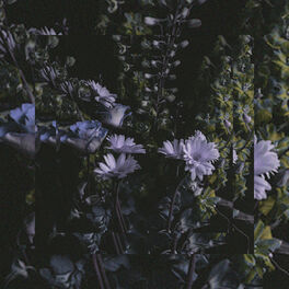 Album cover of It's Beautiful.
