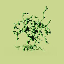 Album cover of Wake up.
