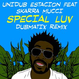 Album cover of Special Luv (feat. Skarra Mucci) [Dubmatix Remix]