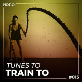 Album cover of Tunes To Train To 015