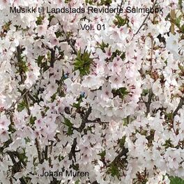 Album cover of Syng til Landstads Reviderte Kirkesalmebok Vol. 01