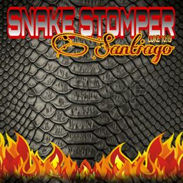 Album cover of Snake Stomper