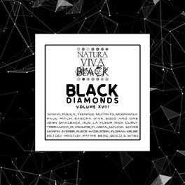 Album cover of Black Diamonds, Vol. 18