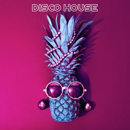 Album cover of Disco House
