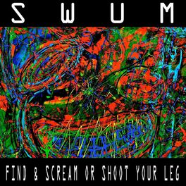 Album cover of Find & Scream Or Shoot Your Leg