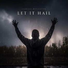 Album cover of Let It Hail