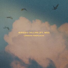 Album cover of Birdies Calling