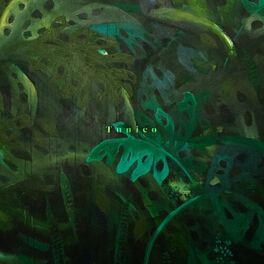 Album cover of Tunico
