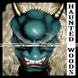 Album cover of Haunted Woods