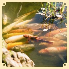 Album cover of Sage