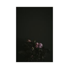 Album cover of Pain (feat. Lawless)