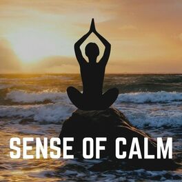Album cover of Sense of Calm