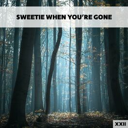 Album cover of Sweetie When You're Gone XXII
