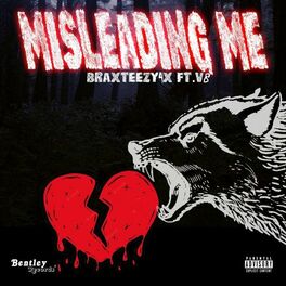Album cover of Misleading Me