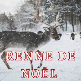 Album cover of Renne De Noël