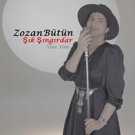 Album cover of Sine Sine / Şık Şıngırdar