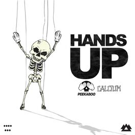 Album cover of HANDS UP