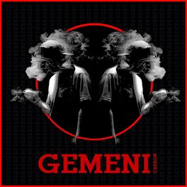 Album cover of GEMENI