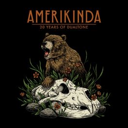 Album cover of Amerikinda: 20 Years of Dualtone