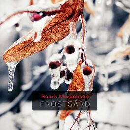 Album picture of Frostgård