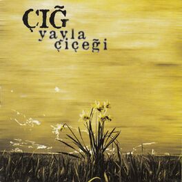 Album cover of Yayla Çiçeği