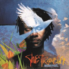 Album cover of The Traveller (Special Edition)
