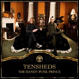 Album cover of The Dandy Punk Prince