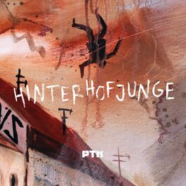 Album cover of Hinterhofjunge