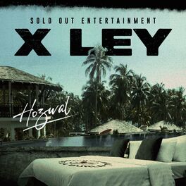 Album cover of X Ley