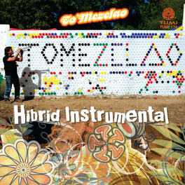 Album cover of Hibrid Instrumental