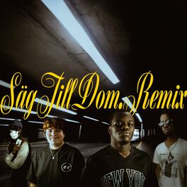Album cover of SÄG TILL DOM (Remix)