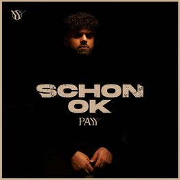 Album cover of Schon ok