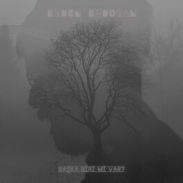 Album cover of Başka Biri Mi Var?