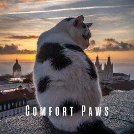 Album cover of Comfort Paws: Rain and Crystal Bowl Harmonies for Pets