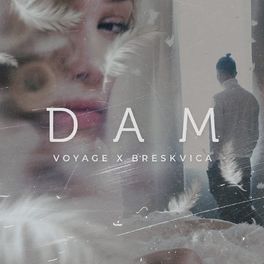 Album cover of Dam