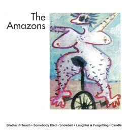 Album cover of The Amazons