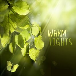 Album cover of Warm Lights